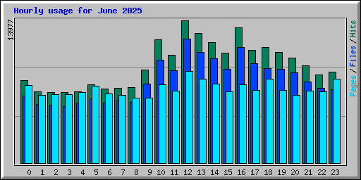 Hourly usage for June 2025